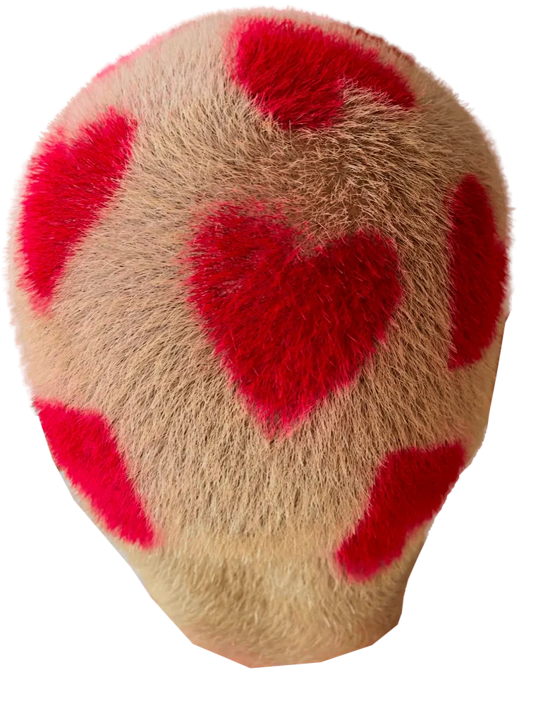 Vue arrière des 10 cœurs